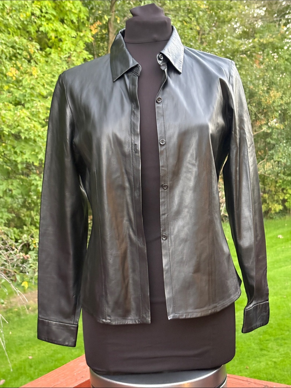 NWOT Banana republic, genuine, leather jacket